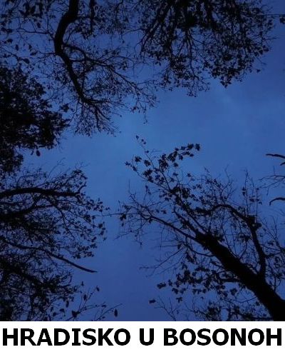 Hradisko u Bosonoh